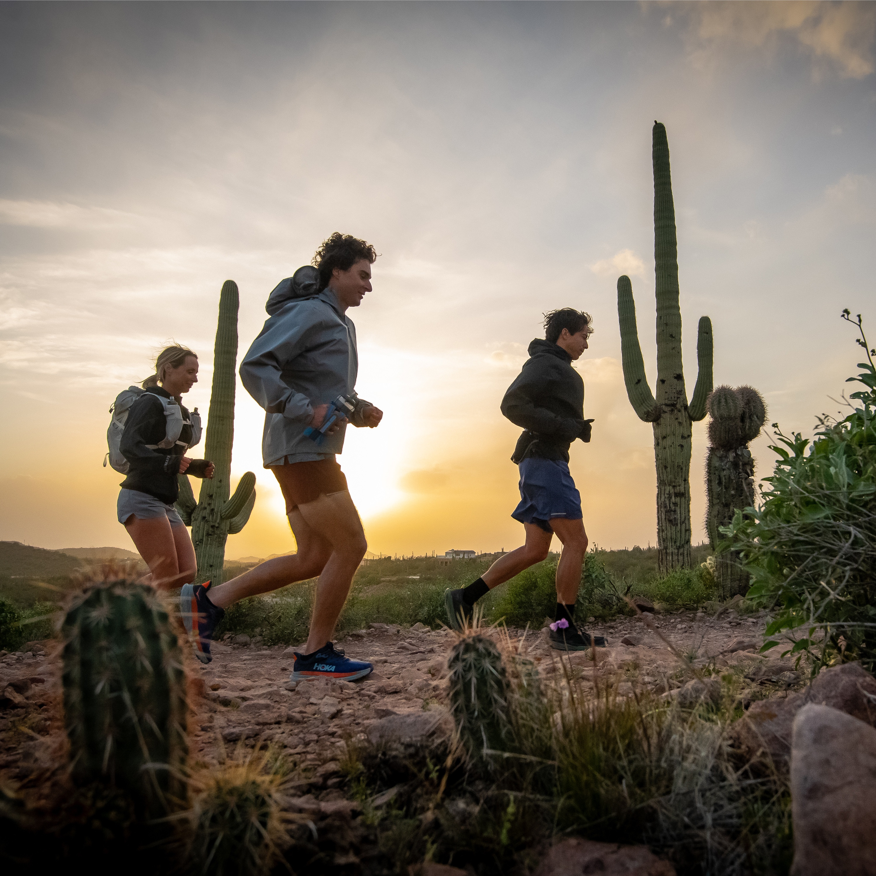 Javelina Training Camp